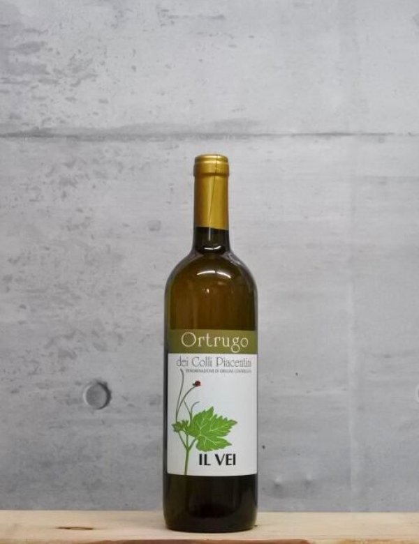 画像1: Ortrugo（オルトゥルーゴ）　2023　750ml (1)