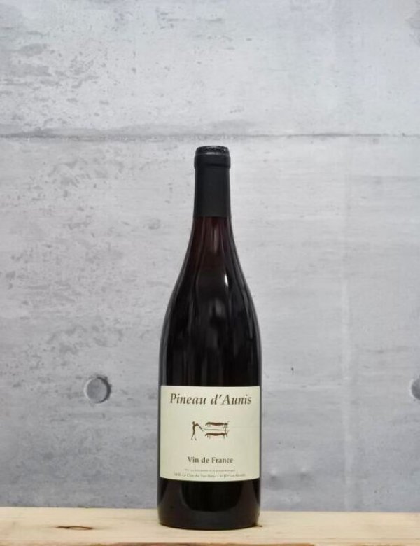 画像1: Pineau d'Aunis（ピノ ドニス）　2023　750ml (1)