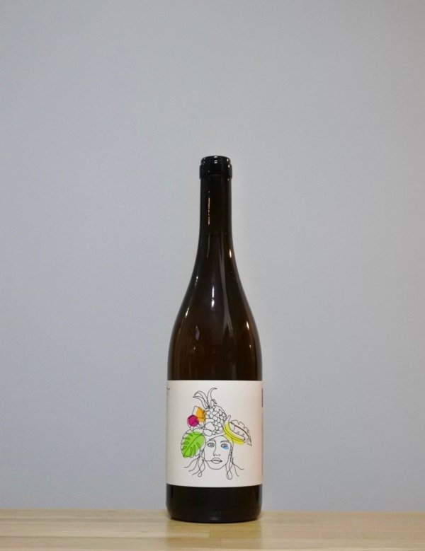 画像1: antropica（アントロピカ）　2023　750ml (1)
