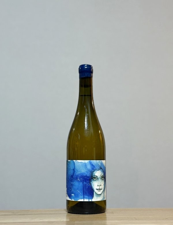 画像1: Marroca（マロカ）　2024　750ml (1)