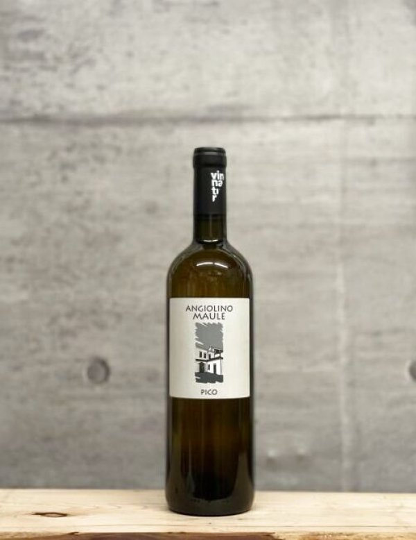 画像1: Pico（ピーコ）　2022  750ml (1)