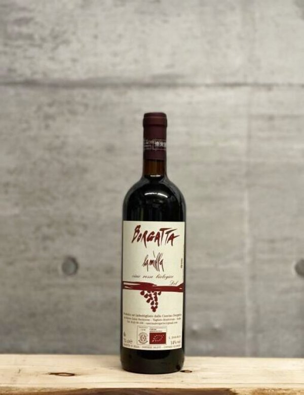 画像1: La Milla（ラ ミッラ）　2019　750ml (1)