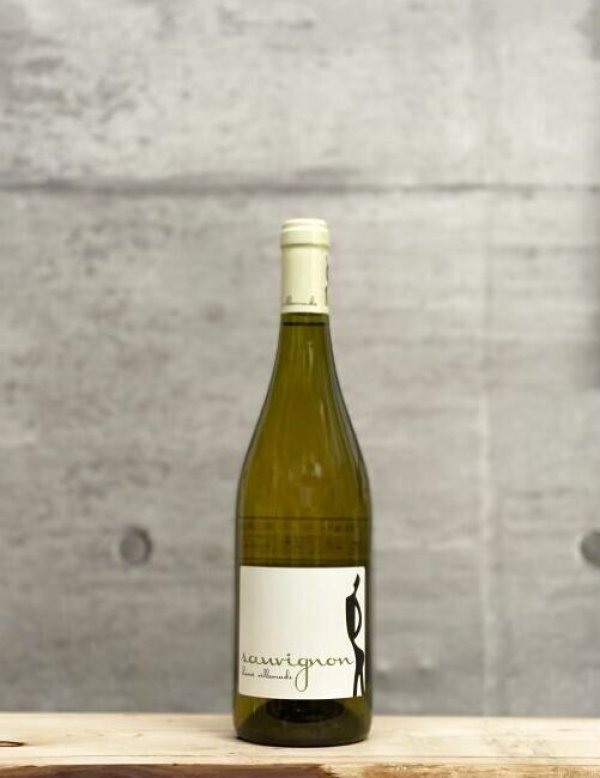 画像1: Sauvignon（ソーヴィニヨン）　2024　750ml (1)