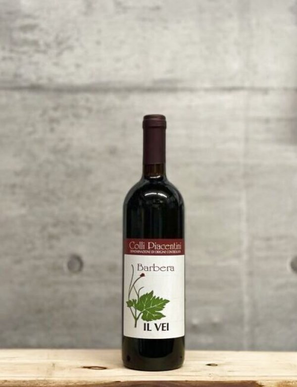 画像1: Barbera（バルベーラ）　2021　750ml (1)