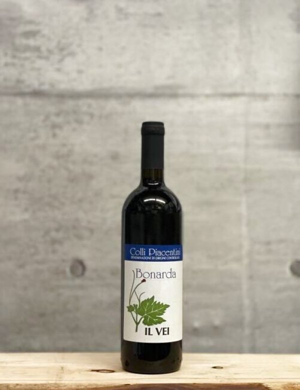 画像1: Bonarda（ボナルダ）　2022　750ml (1)