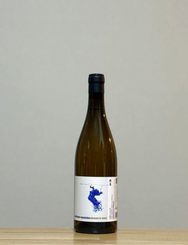画像1: Dao Branco（ダォン ブランコ）　2022　750ml (1)