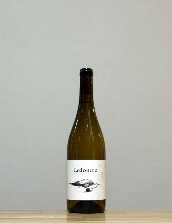 画像1: Ledonero （レドネロ）　2021　750ml (1)